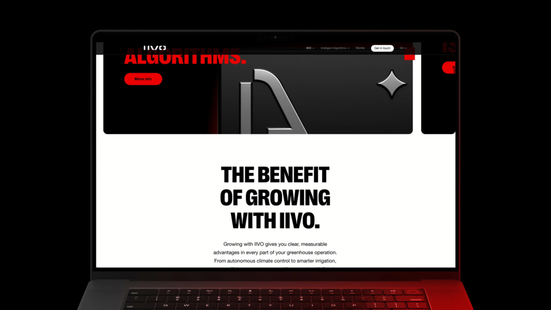 Webdesign productwebsite IIVO