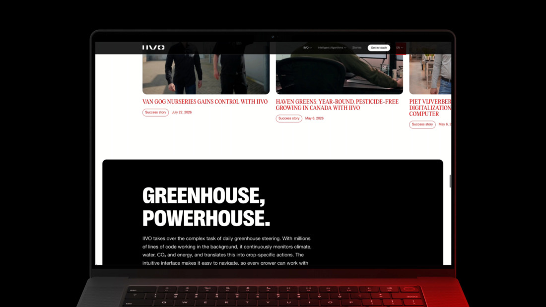 Wordpress consumentenwebsite IIVO
