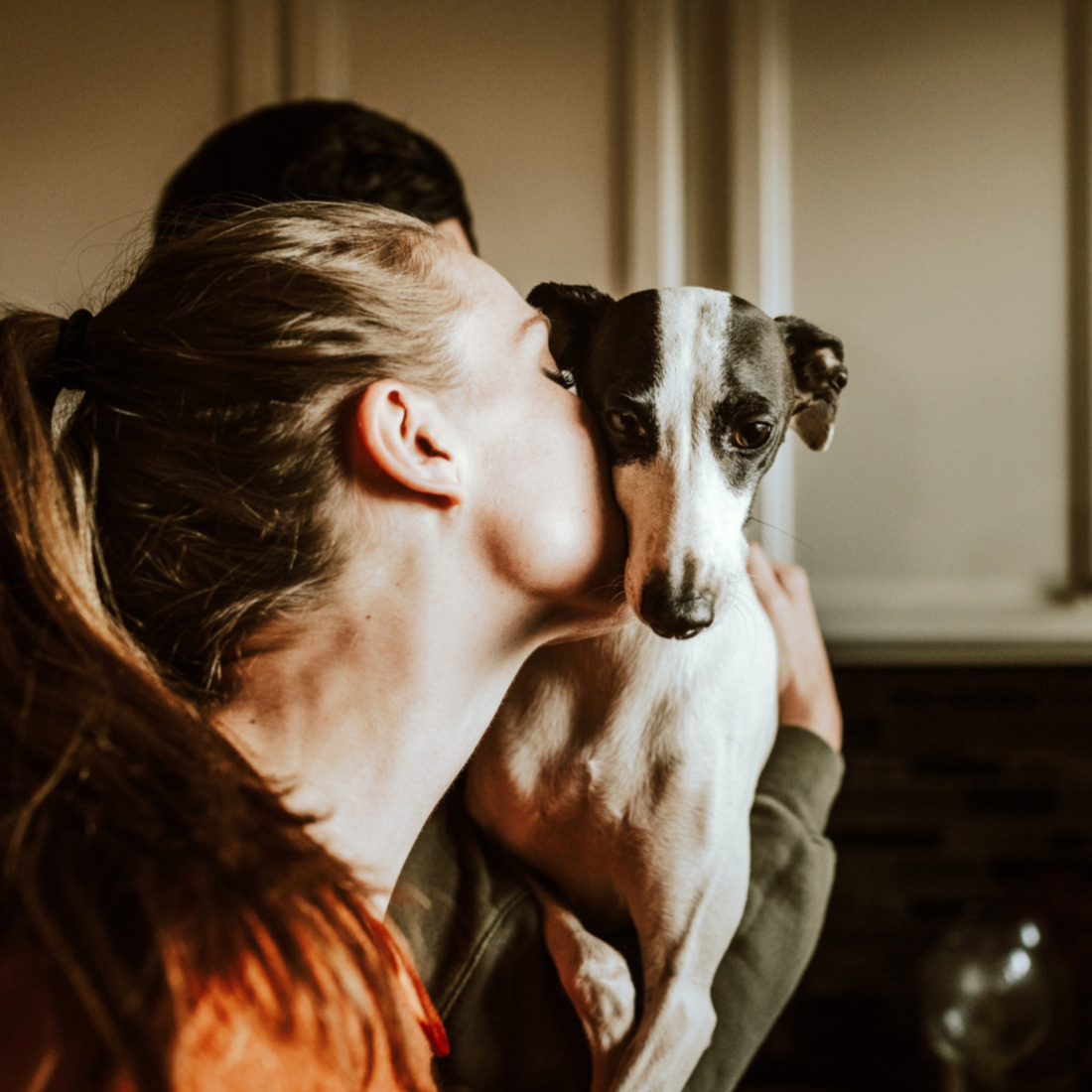 Fotografie Petlook branding