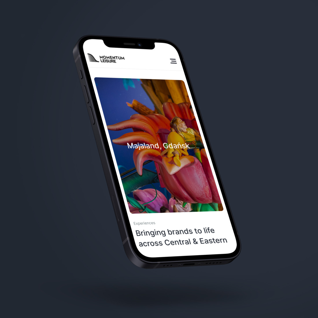 Studio Brabo website momentum leisure 2